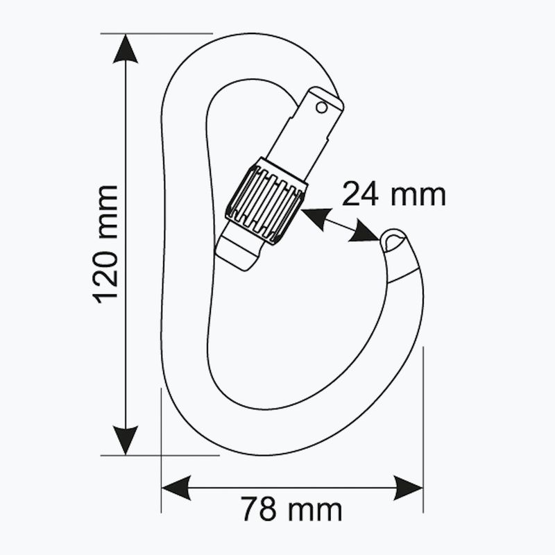 Mászókarabiner CAMP Atom Lock gun metal 3