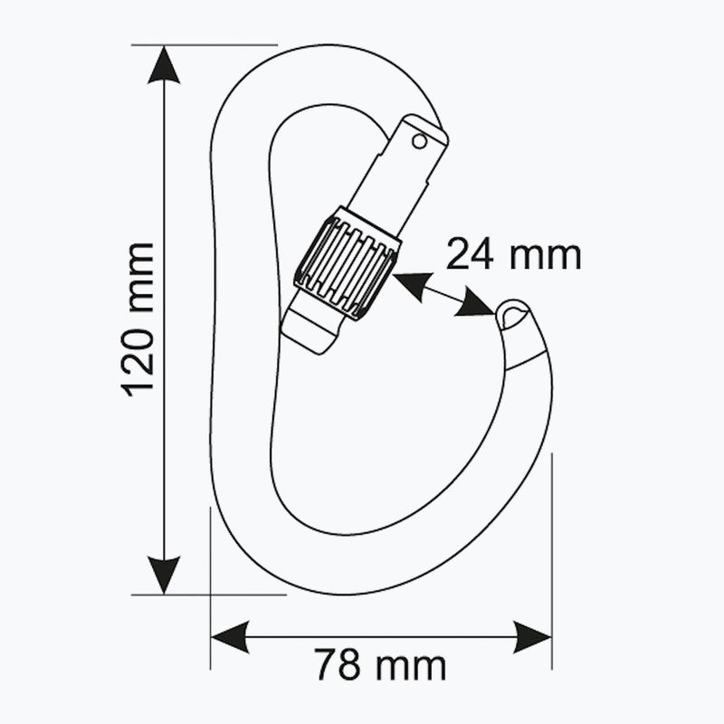 Mászókarabiner CAMP Atom Lock black 3