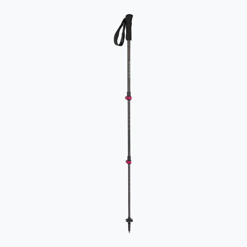 Túrabotokok CAMP Backcountry Carbon 2