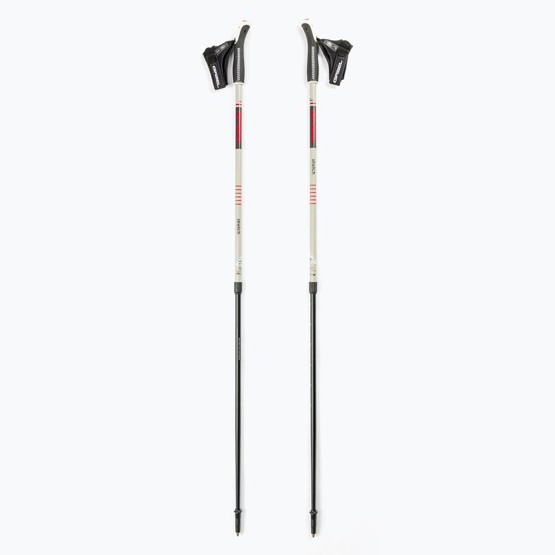 Nordic Walking botok GABEL Strech ICE szürke 7008352630000