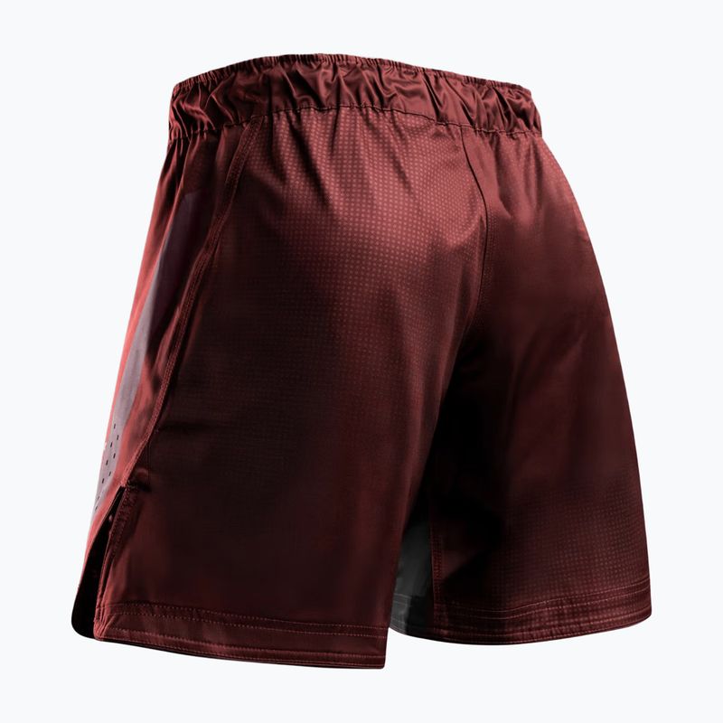Férfi edző rövidnadrág Hayabusa Apex Fight 3/4 red 2