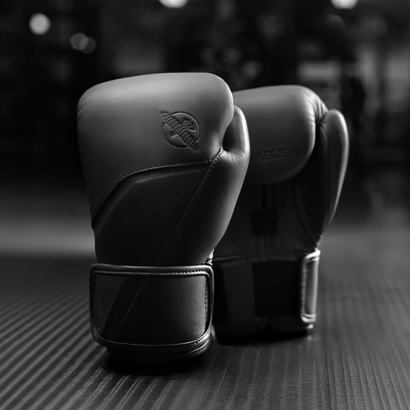 Bokszkesztyűk Hayabusa E1 Leather black 2