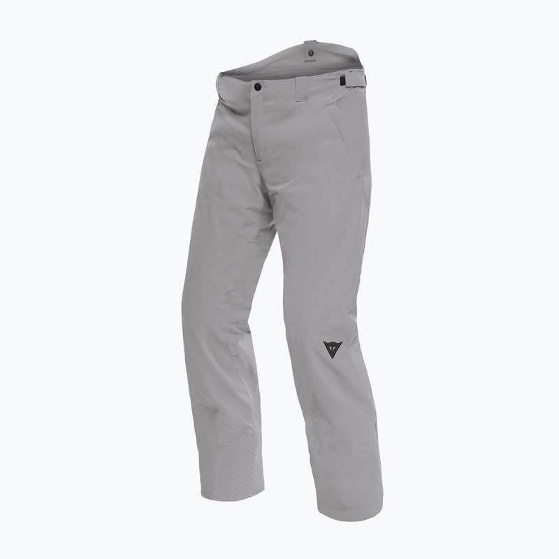 Férfi Dainese Dermizax Ev ezüst/filigrán síelő nadrág 6
