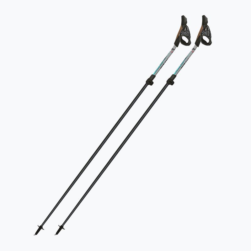 Nordic walking botok Fizan Tekno Impulse grey