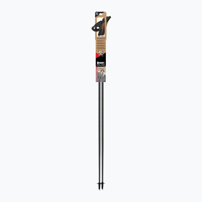 Nordic walking botok Fizan Tekno Impulse grey 4