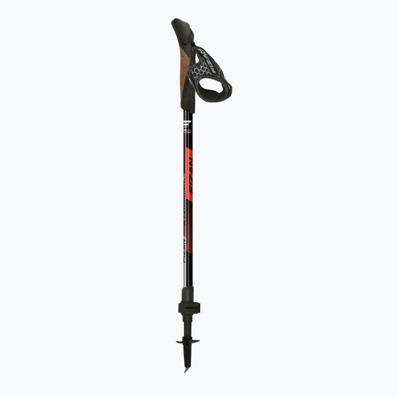 Nordic walking botok Fizan R-Evolution Pro red 2