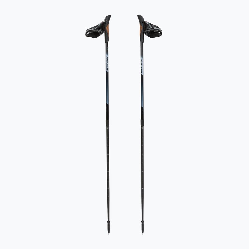 Nordic walking botok Fizan Speed black