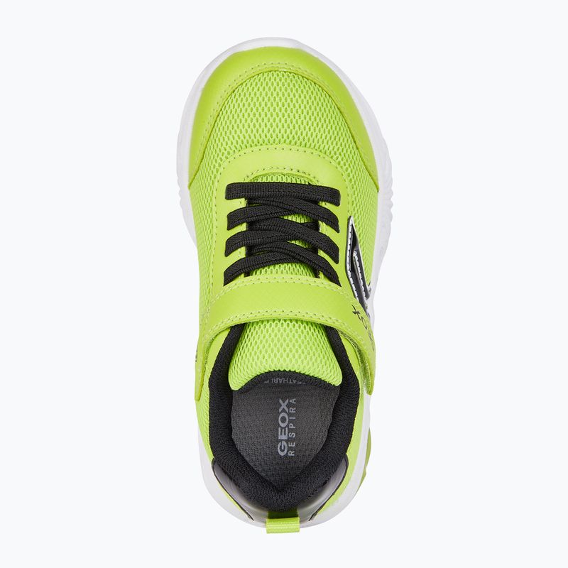 Junior cipő Geox Assister lime/black 7