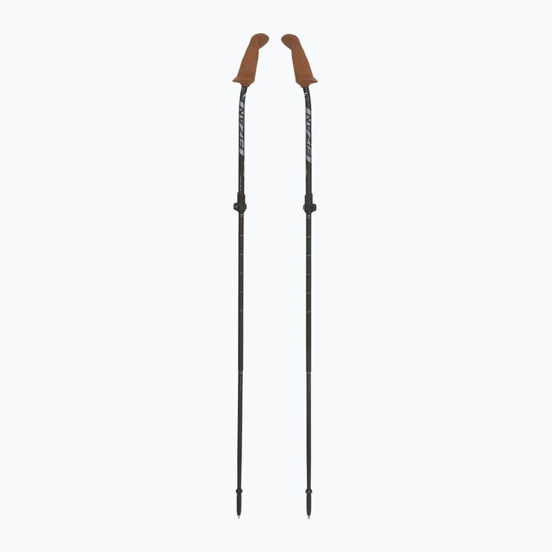 Fizan Walx Xplorer nordic walking botok szürke