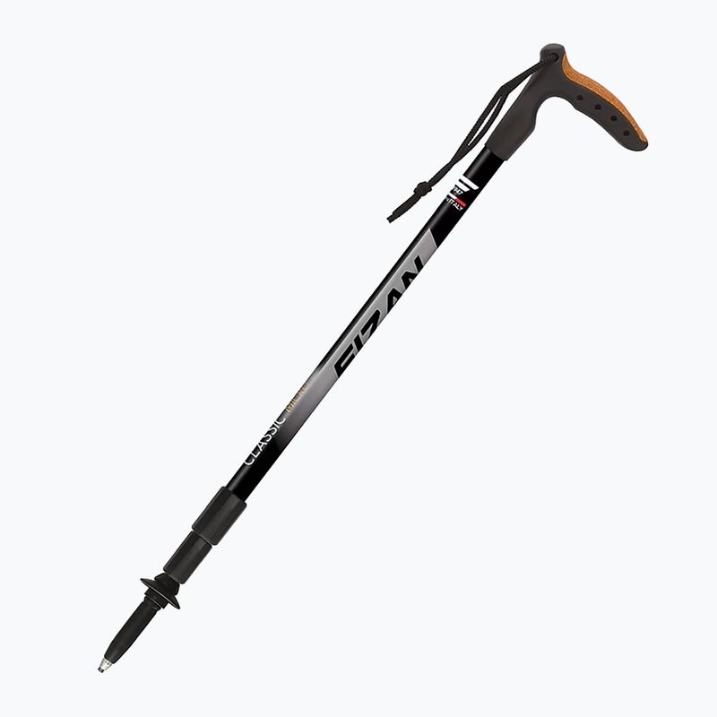 Nordic walking bot Fizan Classic Micro szürke