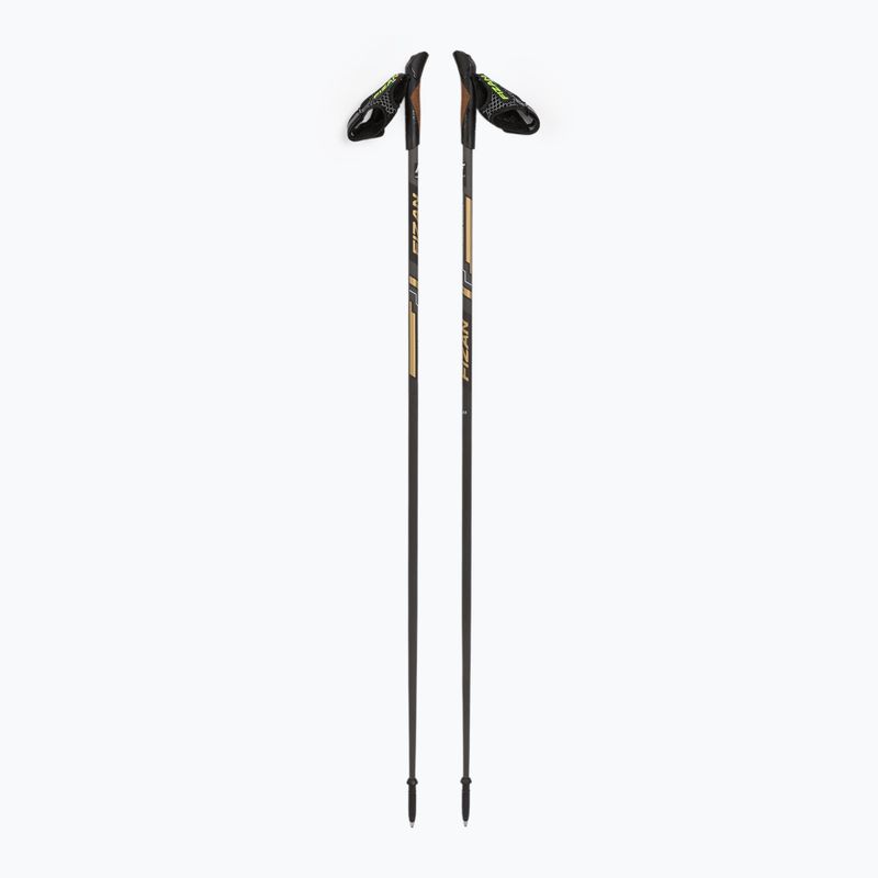 Fizan Runner 100063 arany nordic walking botok