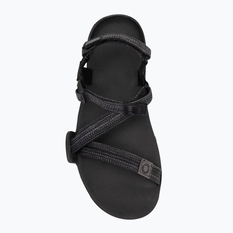 Férfi mezítlábas szandál Xero Shoes Z-Trail EV multi / fekete 5