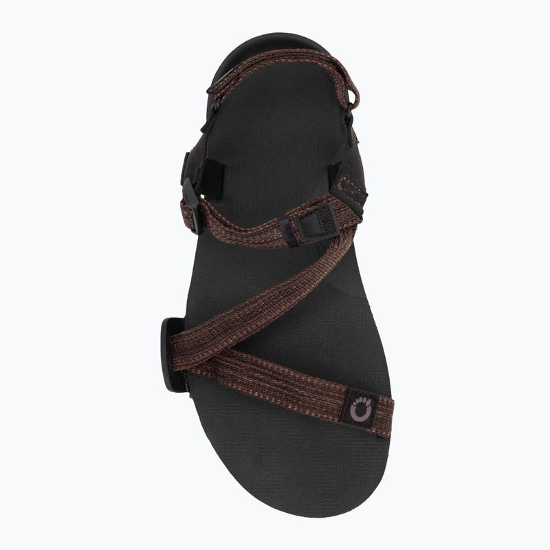 Férfi mezítlábas szandálok Xero Shoes Z-Trail EV multi / barna 5