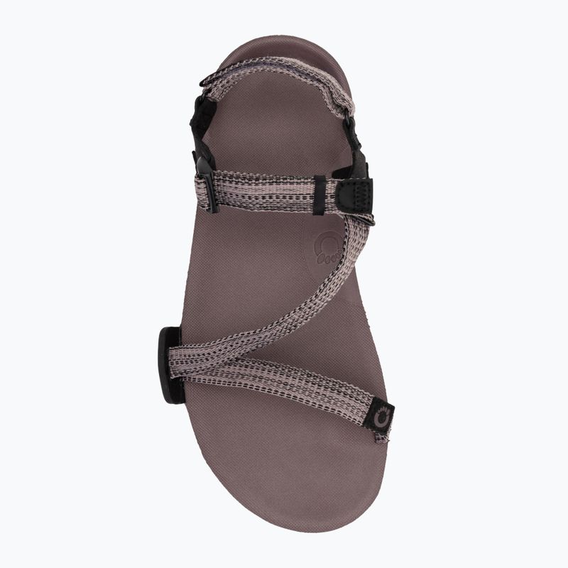 Női mezítlábas szandál Xero Shoes Z-Trail EV poros / rózsaszínű 4