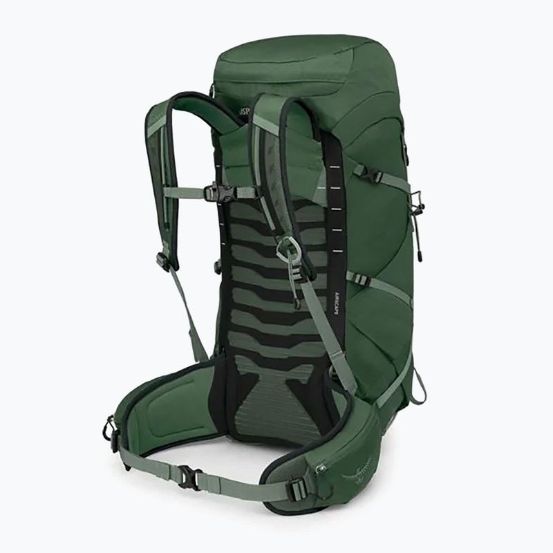 Osprey Talon 33 l zöld lombkorona/ fenyőlevél férfi túra hátizsák 2