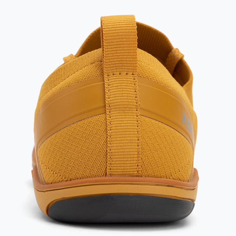 Férfi mezítlábas cipő Xero Shoes Nexus Knit arany 6