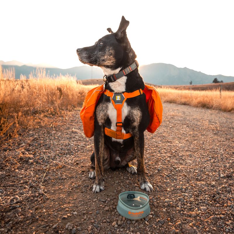 Kutyatál HydraPak Rover sutro green 4