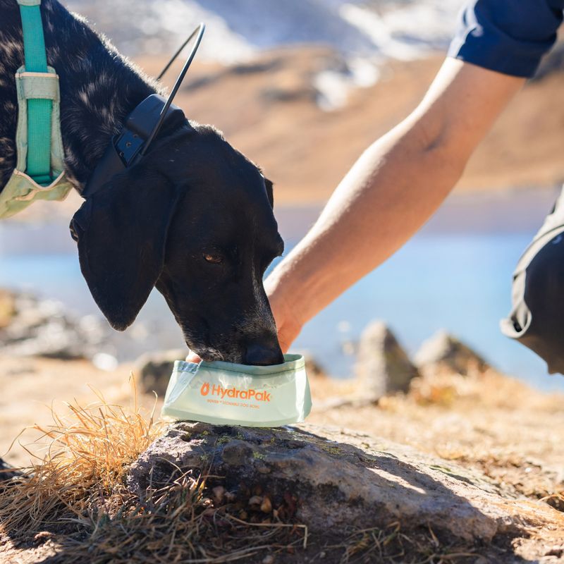Kutyatál HydraPak Rover sutro green 6