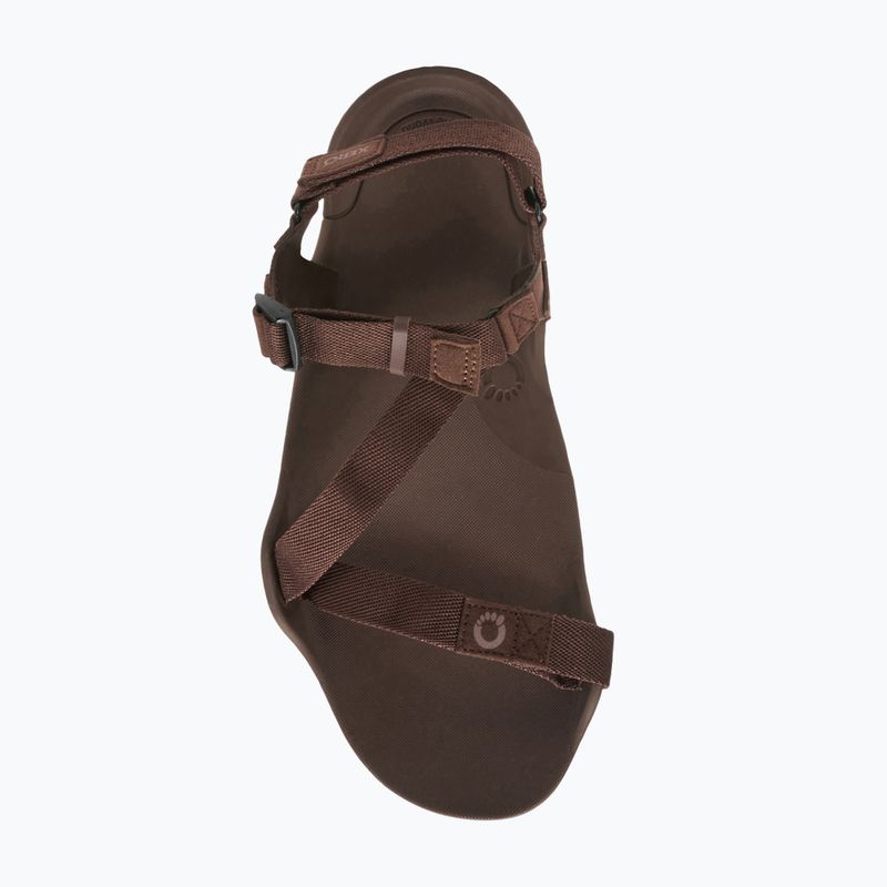 Férfi mezítlábas szandálok Xero Shoes Z-Trek barna 7