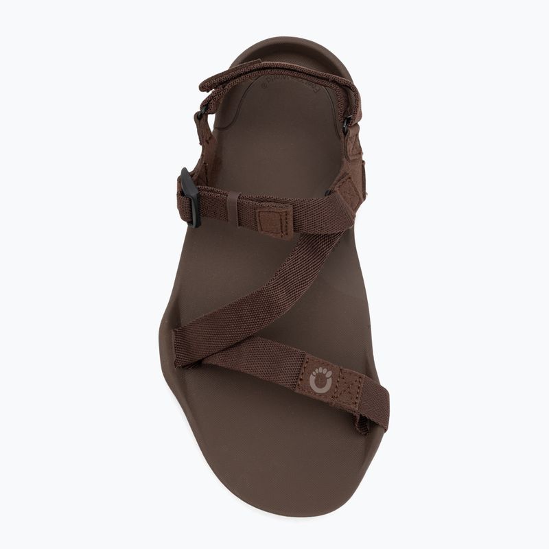 Férfi mezítlábas szandálok Xero Shoes Z-Trek barna 5