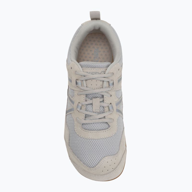 Női mezítlábas cipő Xero Shoes Prio Suede csendes szürke 5