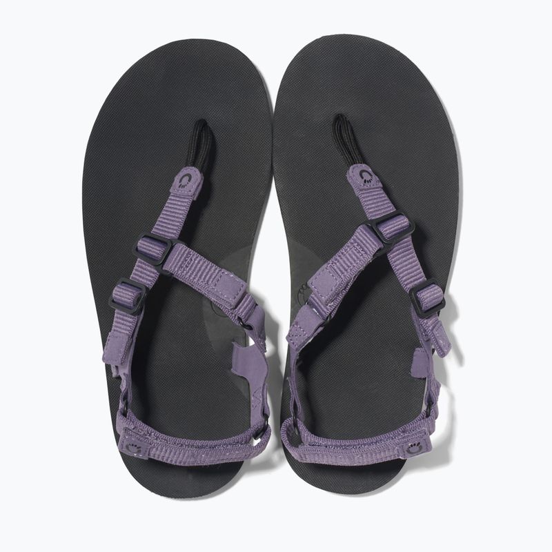 Női mezítlábas szandálok Xero Shoes H-Trail zsálya lila 6
