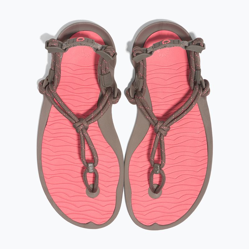 Női mezítlábas szandál Xero Shoes Aqua Cloud moel/sunset coral Aqua Cloud moel/sunset coral 8