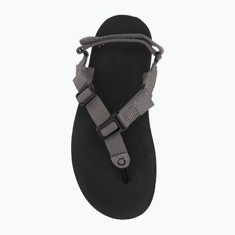 Férfi mezítlábas szandál Xero Shoes H-Trail acélszürke/kék/lolite 5