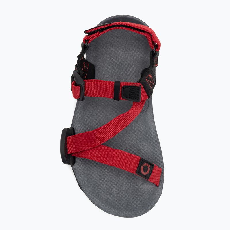 Mezítlábas gyermek Xero Shoes Z-Trail szén/piros paprika szandálok 5