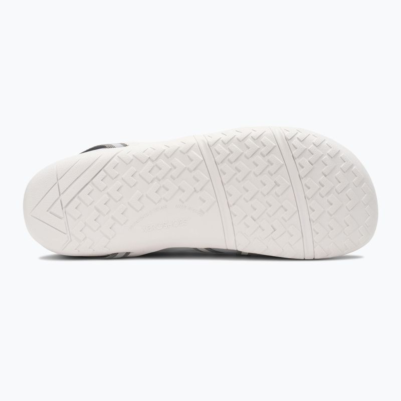 Női barefoot cipők Xero Shoes Speed Force II alloy/silver 5