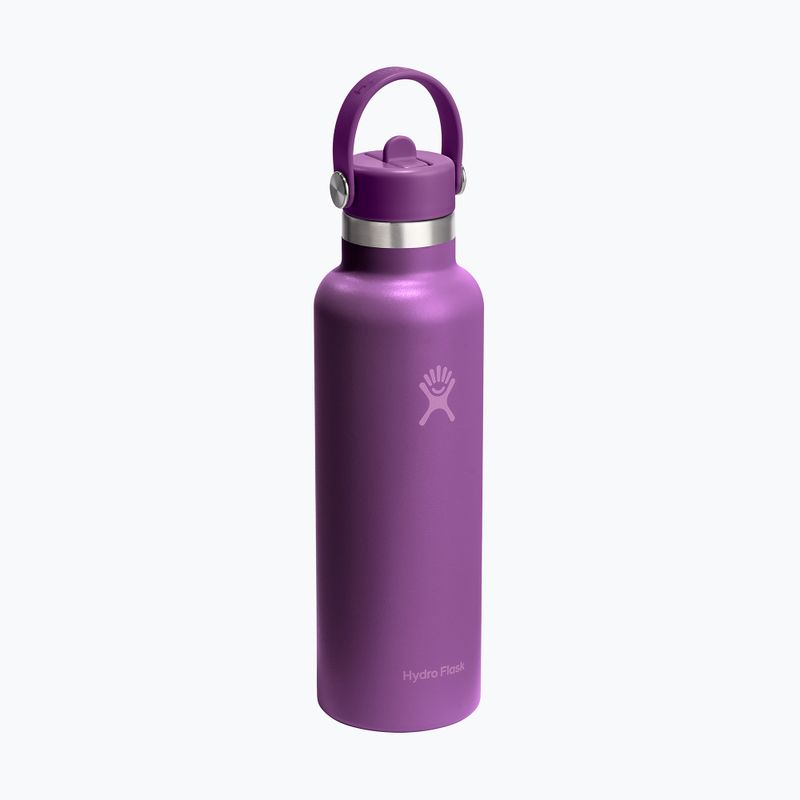 Hydro Flask Standard Flex Szívószálas termosz 620 ml beachplum 2