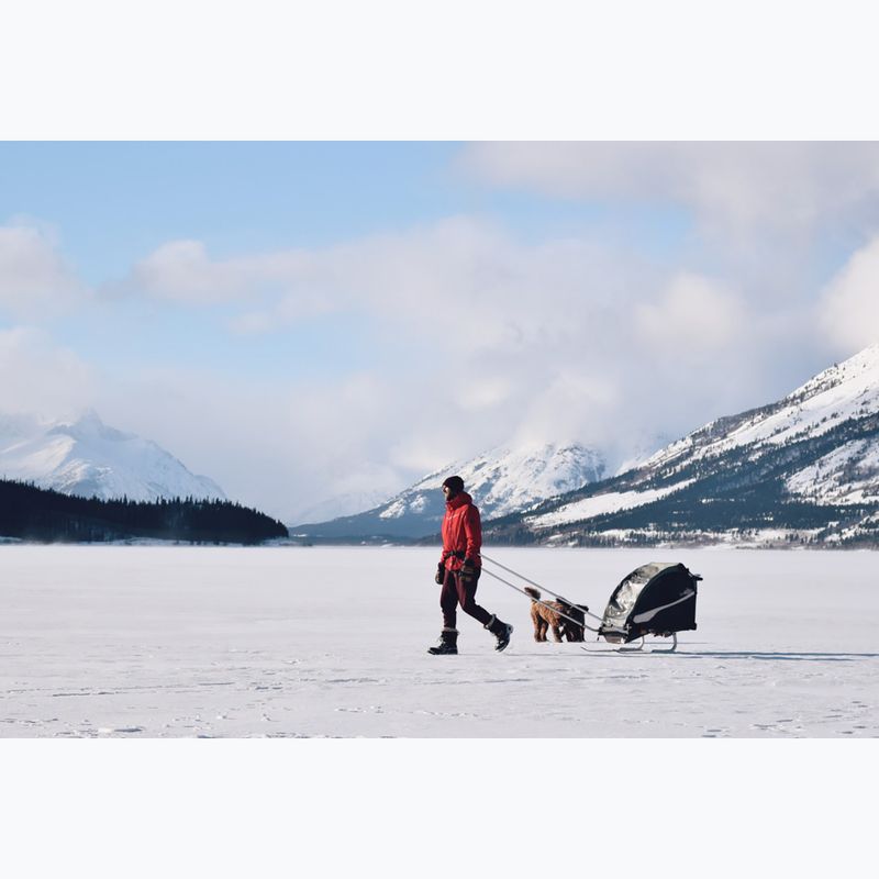 Sítartozék készlet utánfutóhoz Burley Ski Kit 3