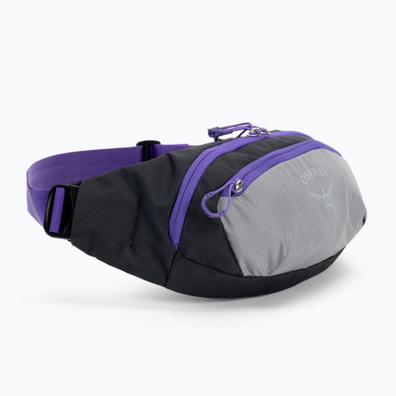 Osprey Daylite Waist 2L vesetáska szürke-lila 10004202