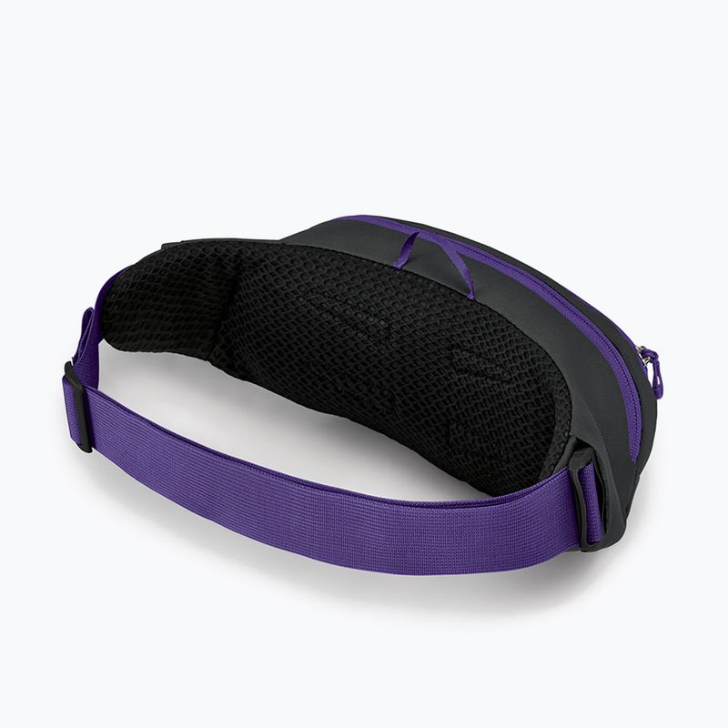 Osprey Daylite Waist 2L vesetáska szürke-lila 10004202 10