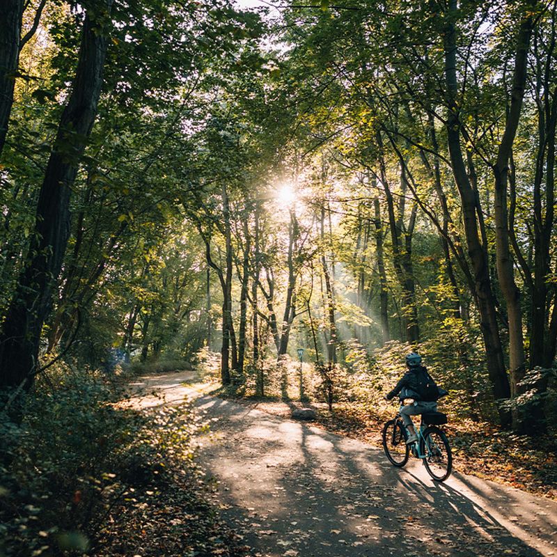 Kellys Cristy 40 női trekking kerékpár lila 72344 9