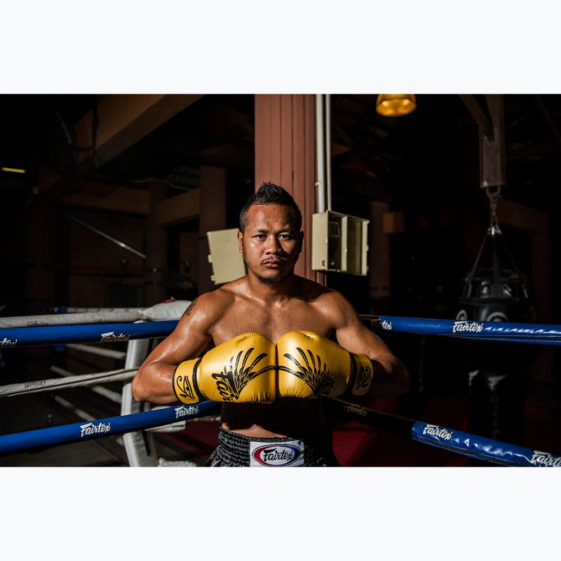 Boxkesztyű Fairtex Universal "Tight-Fit" Design Falcon gold 2