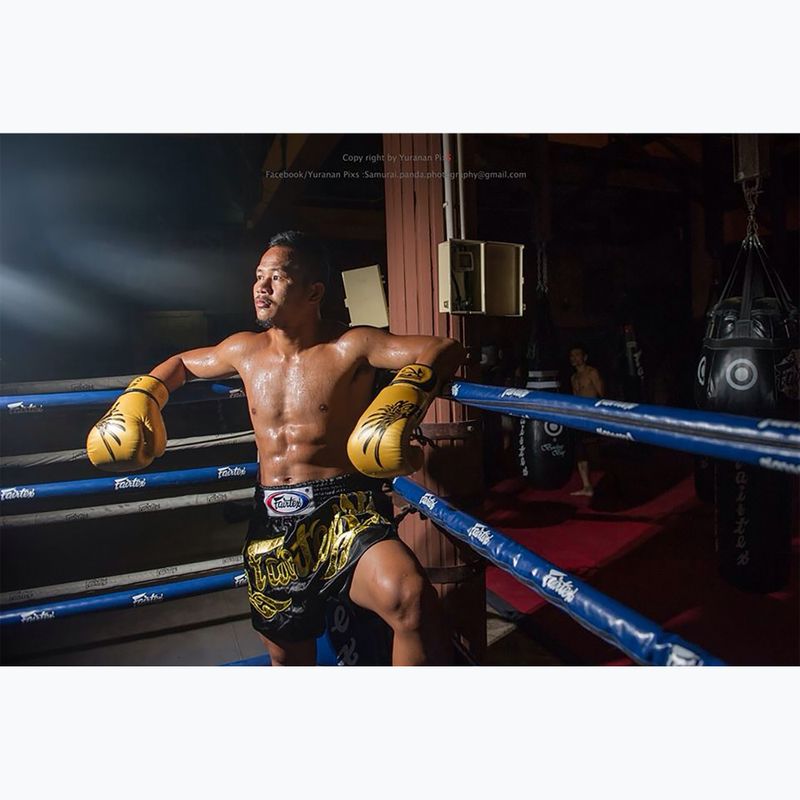 Boxkesztyű Fairtex Universal "Tight-Fit" Design Falcon gold 3