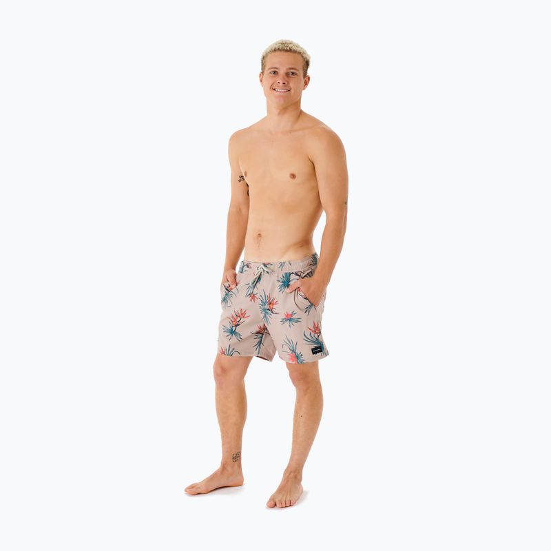 Rip Curl férfi Paradiso Volley rövidnadrág 5067 bézs 03DMBO 2