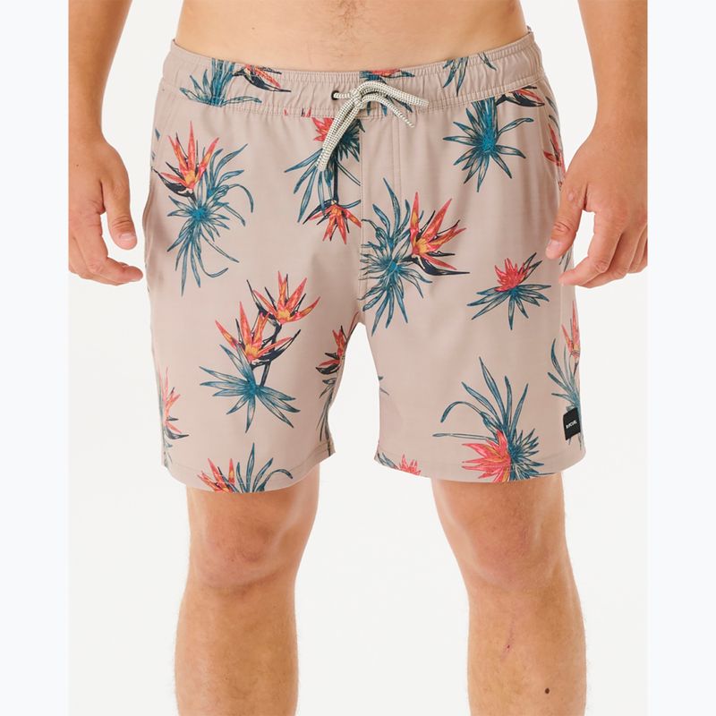 Rip Curl férfi Paradiso Volley rövidnadrág 5067 bézs 03DMBO 4