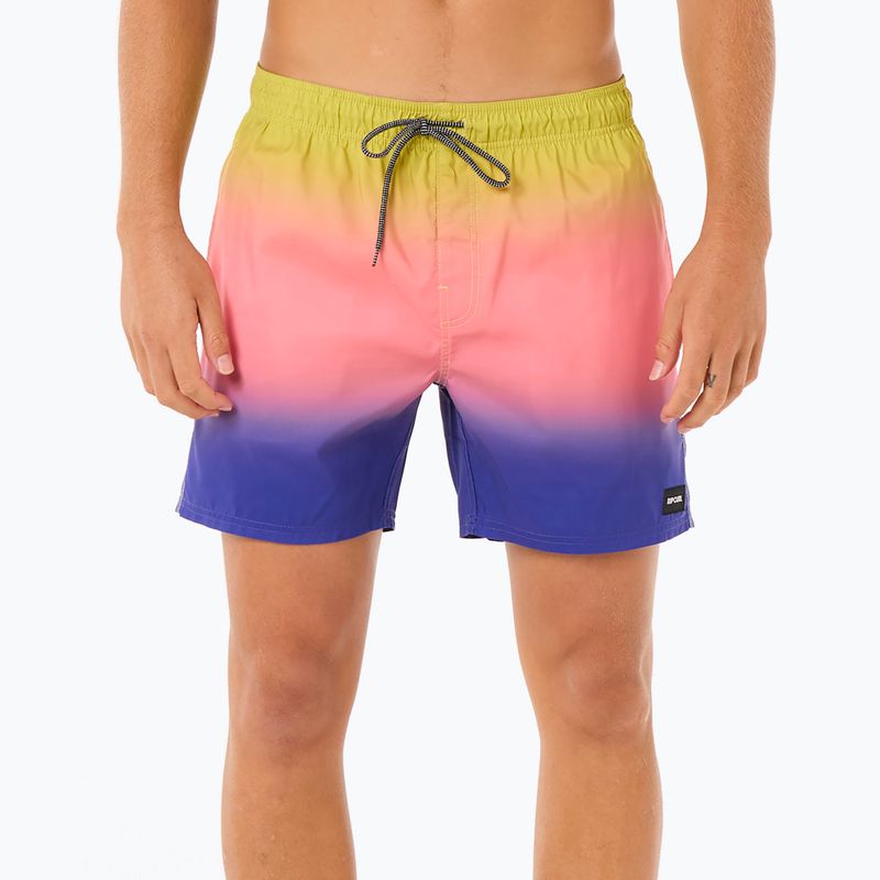 Férfi Rip Curl Laze Fade Volley úszónadrág vad bogyós bogyó