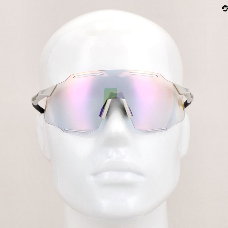 napszemüveg DYNAFIT Alpine Evo nimbus/black out 7