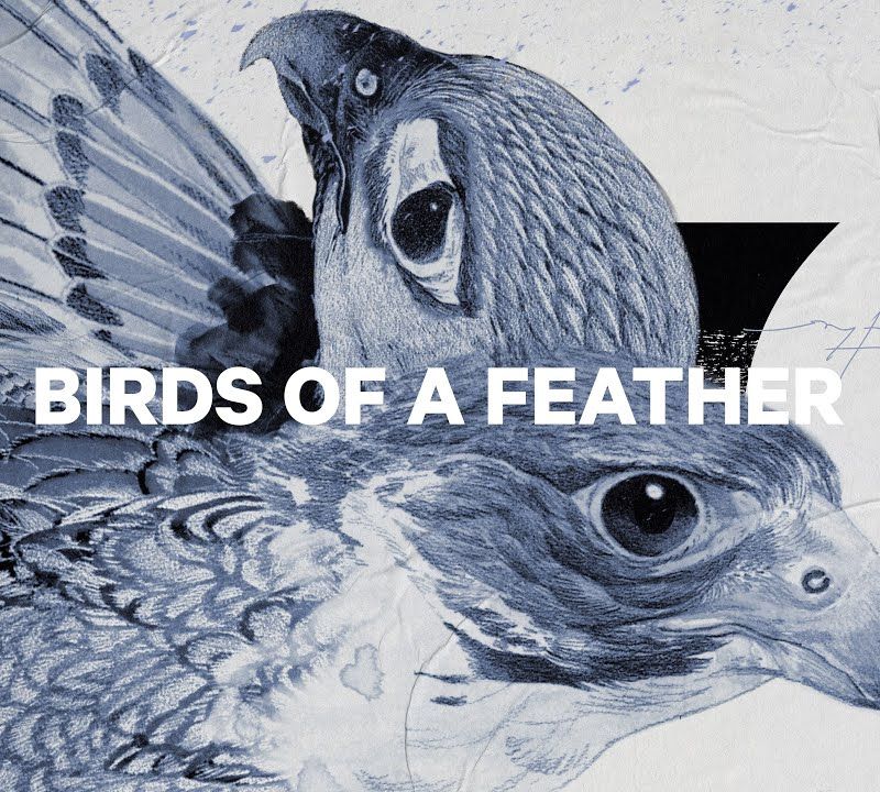 Női snowboard CAPiTA Birds Of A Feather 1221107 12