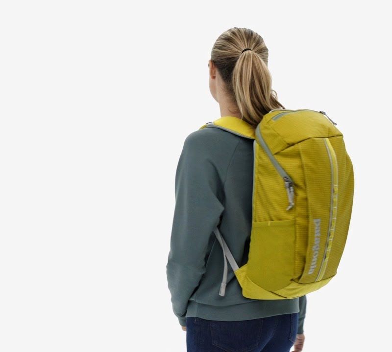 Túra hátizsák Patagonia Black Hole Pack 25 l pale periwinkle 7