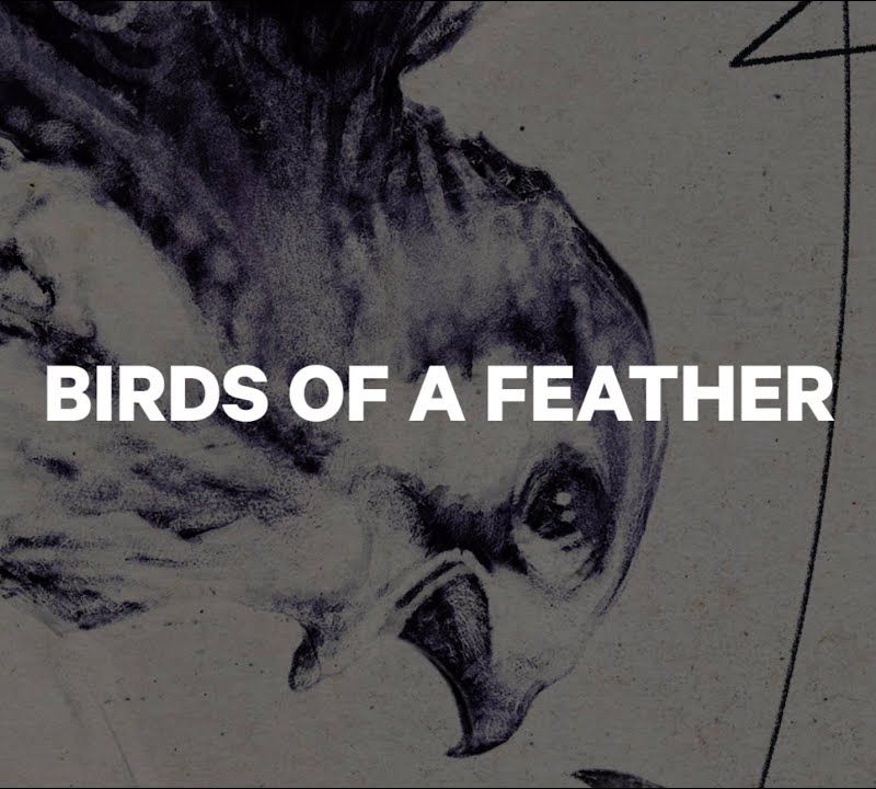 Női CAPiTA Snowboard Birds Of A Feather Fehér 1211119 13