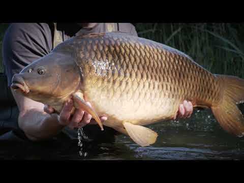 Sportex Purista Carp XTF pontyozó bot fekete 130275 6