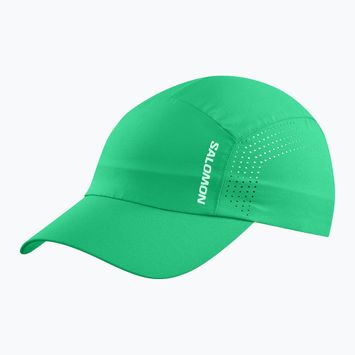 Salomon SHAKEout parakeet baseball sapka