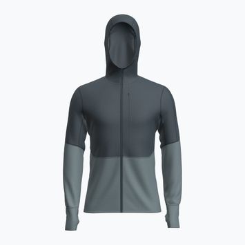 Férfi trekking pulóver icebreaker Merino 260 Quantum IV Zip Hoodie arctic