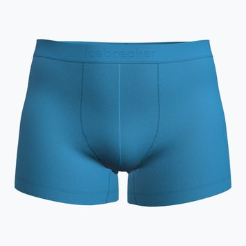 Férfi thermo boxeralsó icebreaker Merino 125 Cool-Lite Anatomica arctic