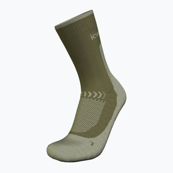 Férfi trekking zokni icebreaker Merino Hike+ Light Crew loden/lichen