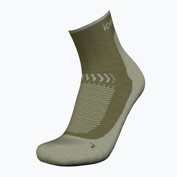 Férfi trekking zokni Icebreaker Merino Hike+ Light Mini loden/lichen